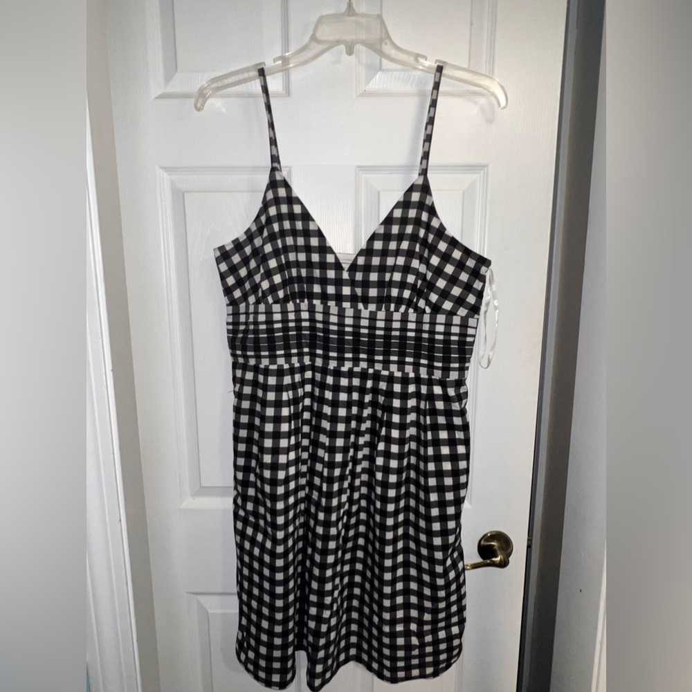 Banana Republic Gingham Summer Fit and Flair Dress